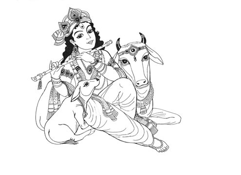 Lord Krishna is a young handsome cowherd boy playing the flute and a cow and a calf lie at his feet and listen. Drawing with Lord Krishna and cows on white paper in black ink.