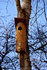 mała budka dla ptaków powieszona na drzewie