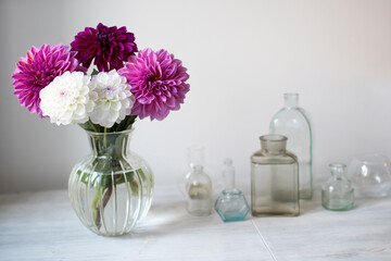 Bouquet of purple and white autumn dahlias in vase on white background.