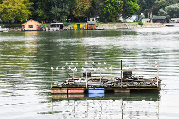 A house boat on the river