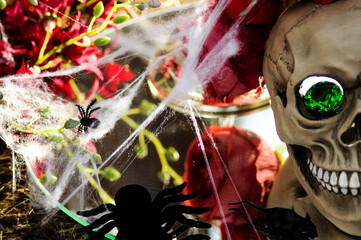 skull on halloween
