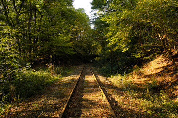 Obraz premium Stillgelegte Bahnlinie im Westerwald - Stockfoto