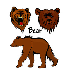 Set of drawings of a bear. Vector illustration