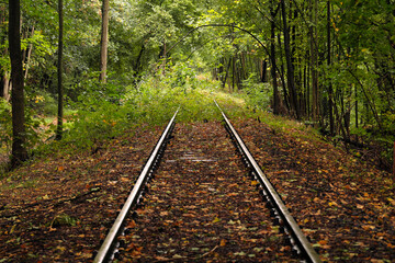 Zugewachsene stillgelegte Bahnstrecke Brexbachtalbahn im Westerwald bei Höhr-Grenzhausen in...