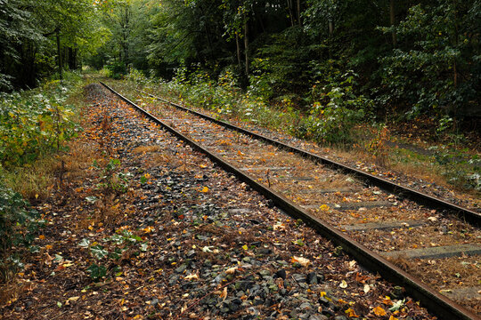 Eingleisige Strecke von stillgelegter Bahnlinie - Stockfoto