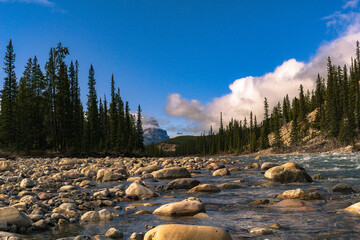 Cline River in near Banff National Park in Alberta Canada