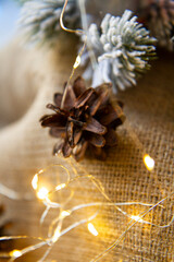 Christmas still life. Christmas pine cone
