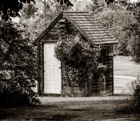 Flower covered wooden shed in black and white