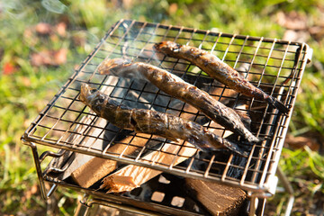 焚き火で焼くシシャモ