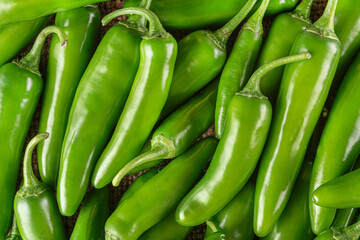 Fresh Jalapeno peppers bunch
Close-up of fresh Mexican Jalapeno hot peppers
