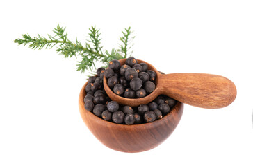 Dry juniper berries with a green branch, isolated on white background. Common Juniper fruits in wooden bowl and spoon.