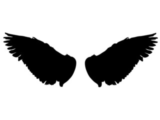 Wings, feather wings, angel wings, bird wings