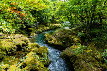 奥日光を流れる湯川