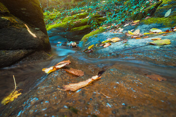 Small water stream waterfall with fallen leaves and moss in autumn
