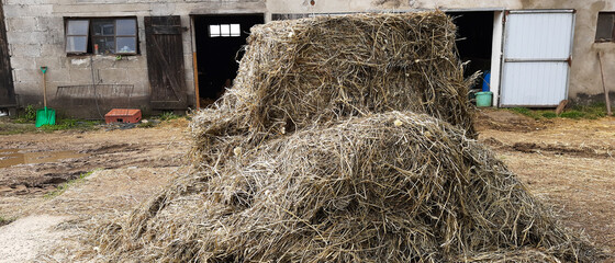 Old farm buildings