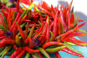 red hot chili peppers