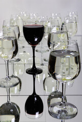 A dozen glasses of white wine and one with red
