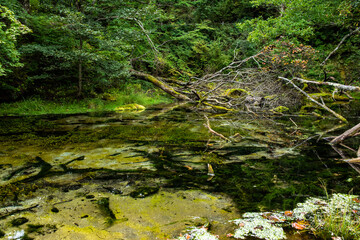 奥日光　泉門池