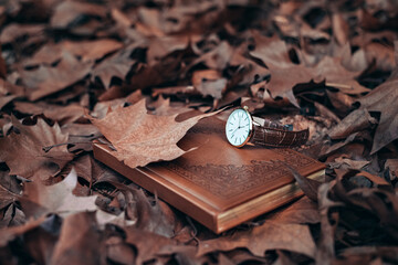 Autumn time. Clock lying on a notebook in the autumn park. autumn leaves and the concept of autumn inspiration