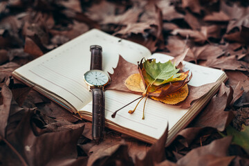 autumn still life with an unfolded notebook with leaves and a clock lying in the autumn park. autumn time and mood for the minds
