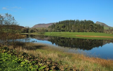 Landscape of rural County Leitrim, Ireland on Autumn afternoon featuring still waters of Doon Lough with sheep grazing on pastures against backdrop of forest 