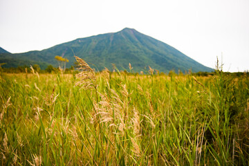 奥日光　戦場ヶ原と男体山