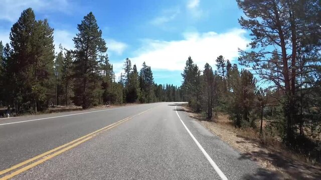 Drive Plate-POV-Driving 2 lane road along the beautiful Firehole River in Yellowstone National Park