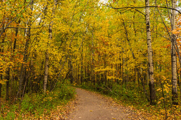 Cloudly day of autumn in Quebec city