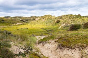 Landscape with dunes under a clouded sky, national park Meijendel