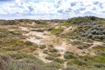 Landscape with dunes under a clouded sky, national park Meijendel