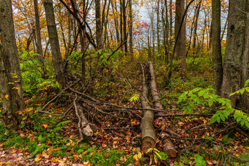 Cloudly day of autumn in Quebec city