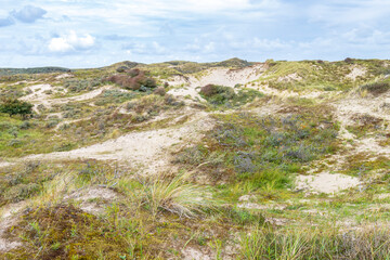 Landscape with dunes under a clouded sky, national park Meijendel