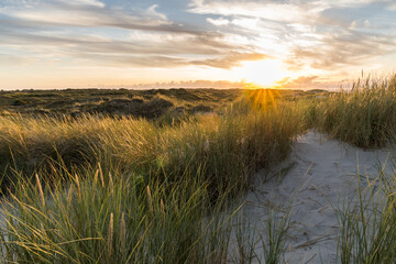 Dunes at sunset, Baltrum, Germany, North Sea