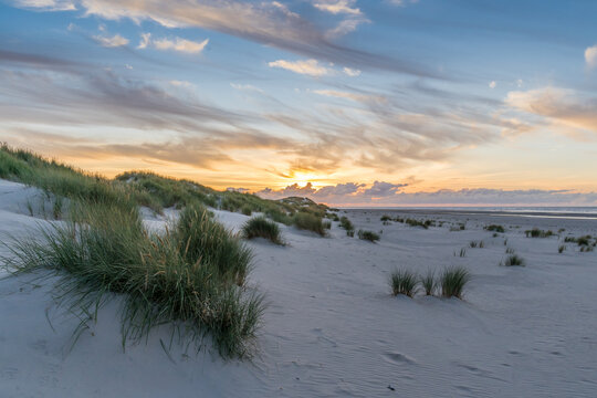 Dunes at sunset, Baltrum, Germany, North Sea