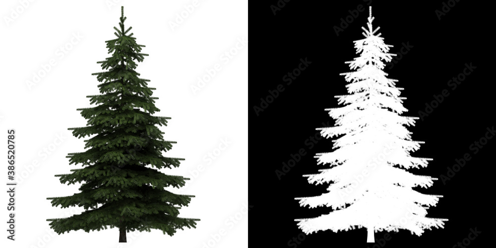 Wall mural left view of generic tree. png with alpha channel to cutout. made from 3d model for compositing.