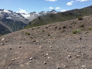 trail in the mountains