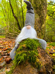 Trolle im Herbst im oberbergischen Land 