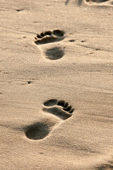Footprints on the beach sand
