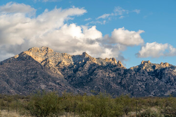 Arizona’s Sonoran Desert  at Organ Pipe Cactus National Monument