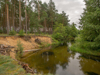 Trees and clouds reflecting in a water