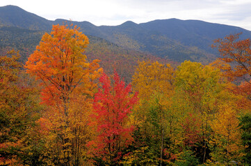Autumn in the White Mountains of New Hampshire. Scenic view of colorful maple trees and distant mountain peaks in White Mountain National Forest.