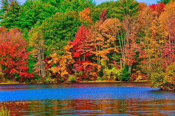 autumn colors on the pond