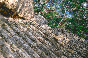 Details of the nature between the stone ruins at the top of the Nohoch Mul Mayan Pyramid, at Coba, Mexico