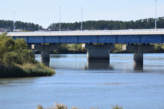 出羽大橋（でわおおはし）／ 山形県を貫流する最上川（日本三大急流）に架かる県内最長の橋、出羽大橋です。全長1,817mの橋は最上川河口に近く、冬には白鳥7,000羽が飛来し、越冬地とするスワンパークがあり、夏には花火大会で人がうめ尽くす観光地です。