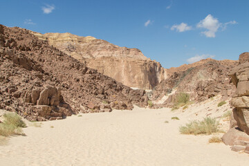 Fototapeta na wymiar White canyon with yellow rocks. Egypt, desert, the Sinai Peninsula, Dahab.