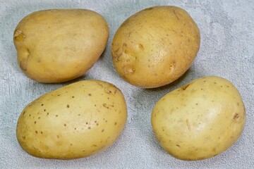 Four raw fresh washed isolated brown potatoes in peel close up