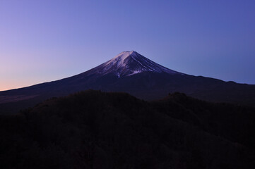 Fototapeta premium 富士山