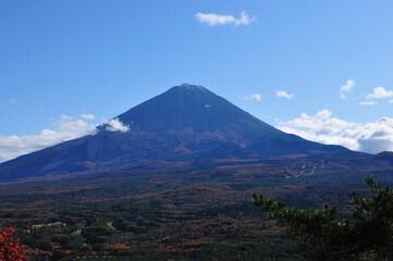 Fototapeta premium 富士山