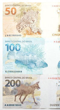 Animals of the Brazilian banknotes on the back. Side by side BRL banknotes, 200, 100 and 50 reais. Guara wolf, grouper and the painted ounce.