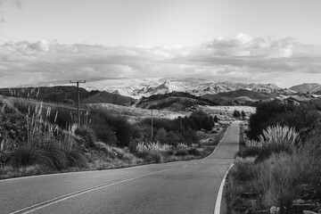 Camino